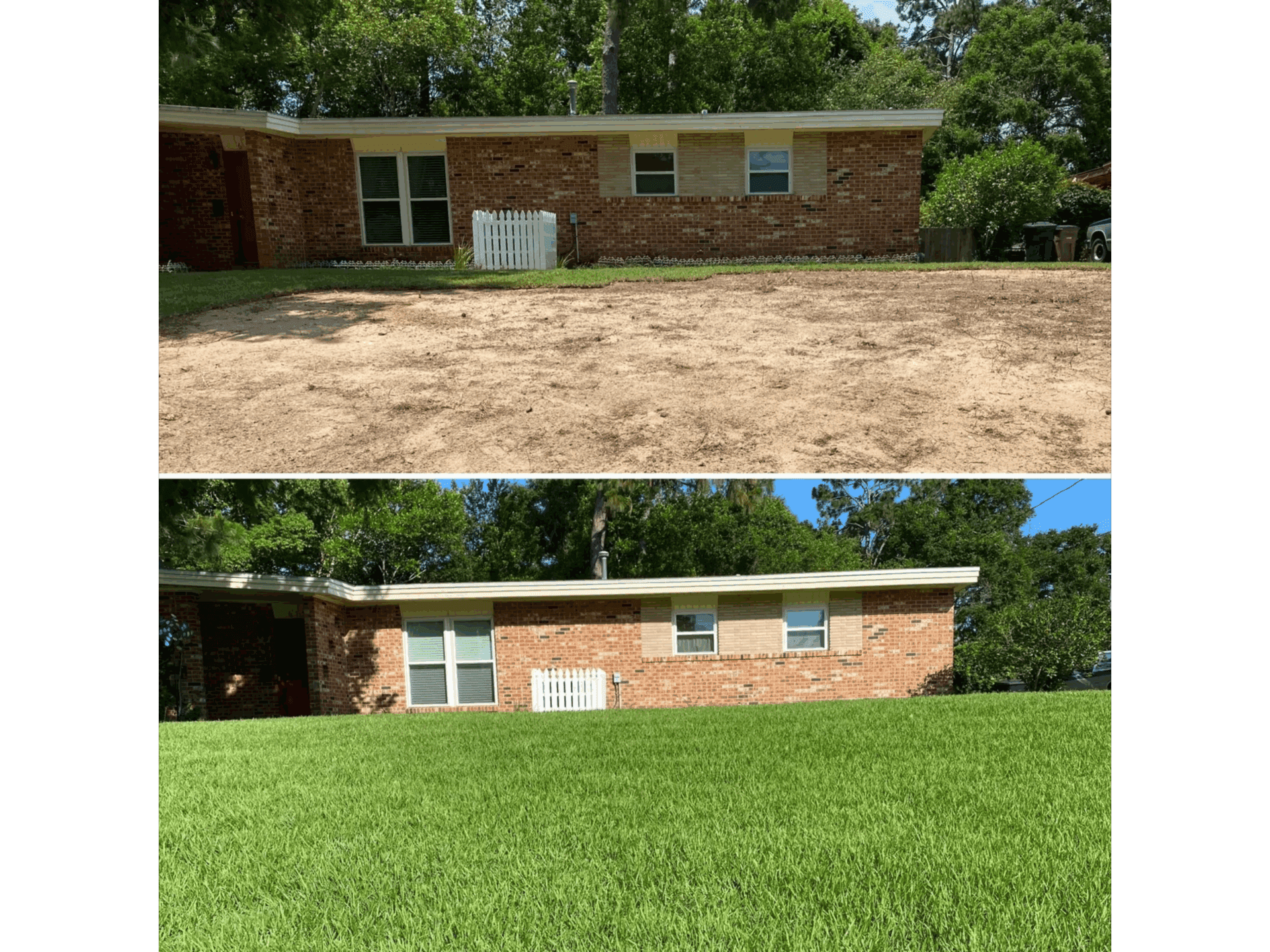Safe Lawn