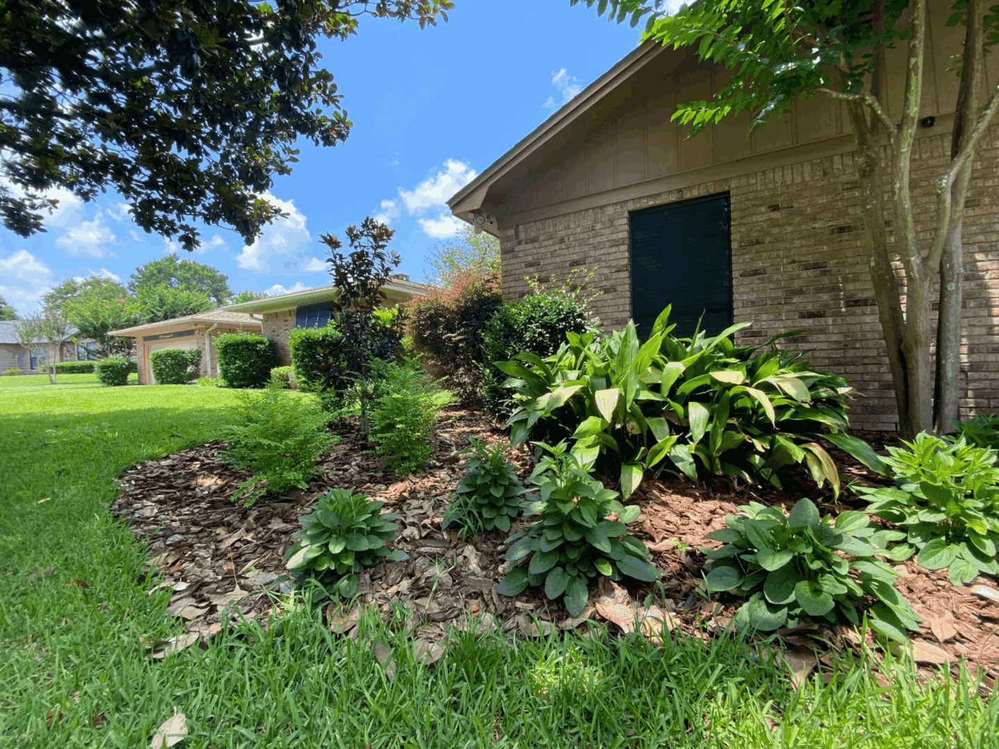 Safe Lawn