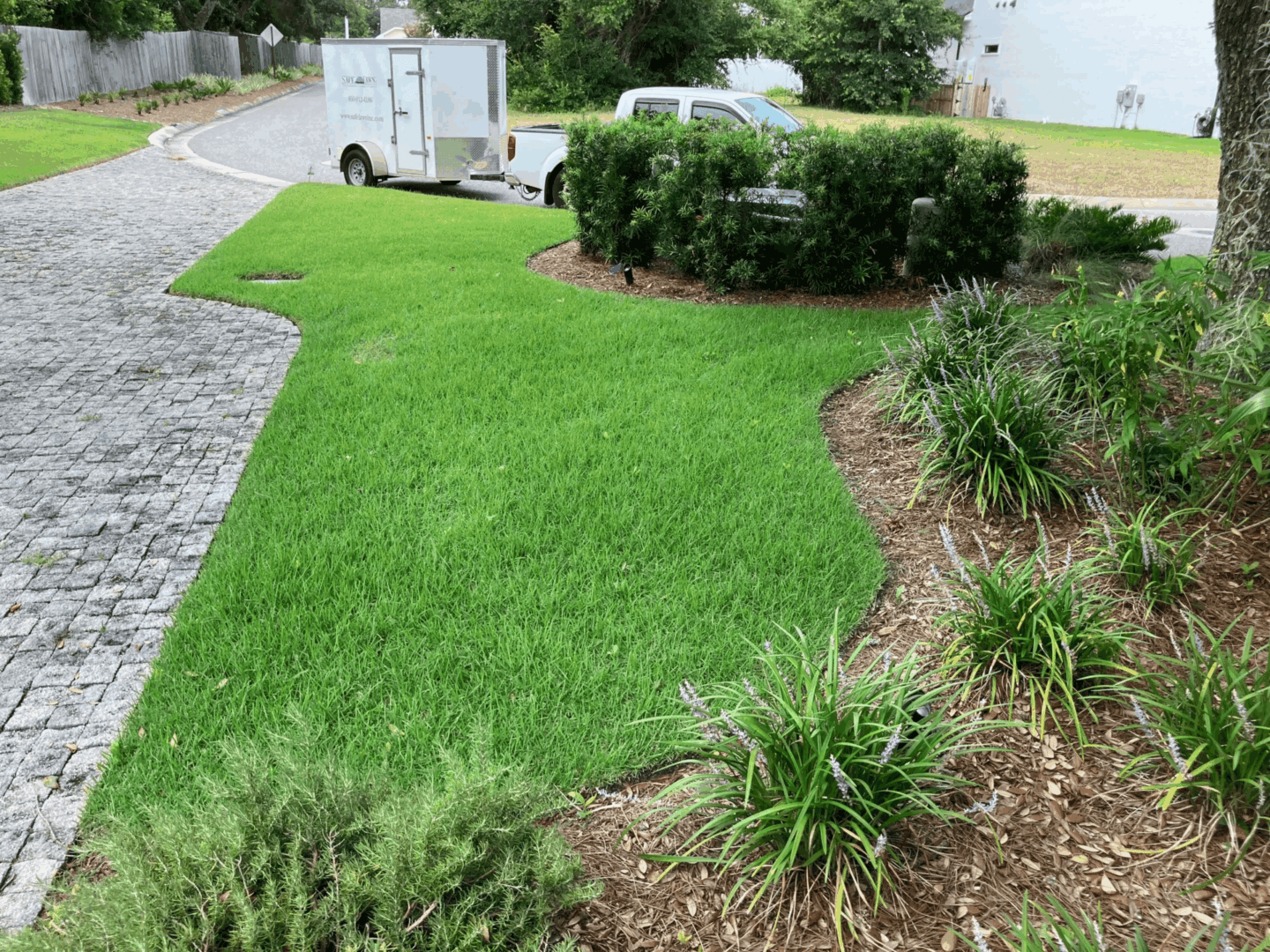 Safe Lawn
