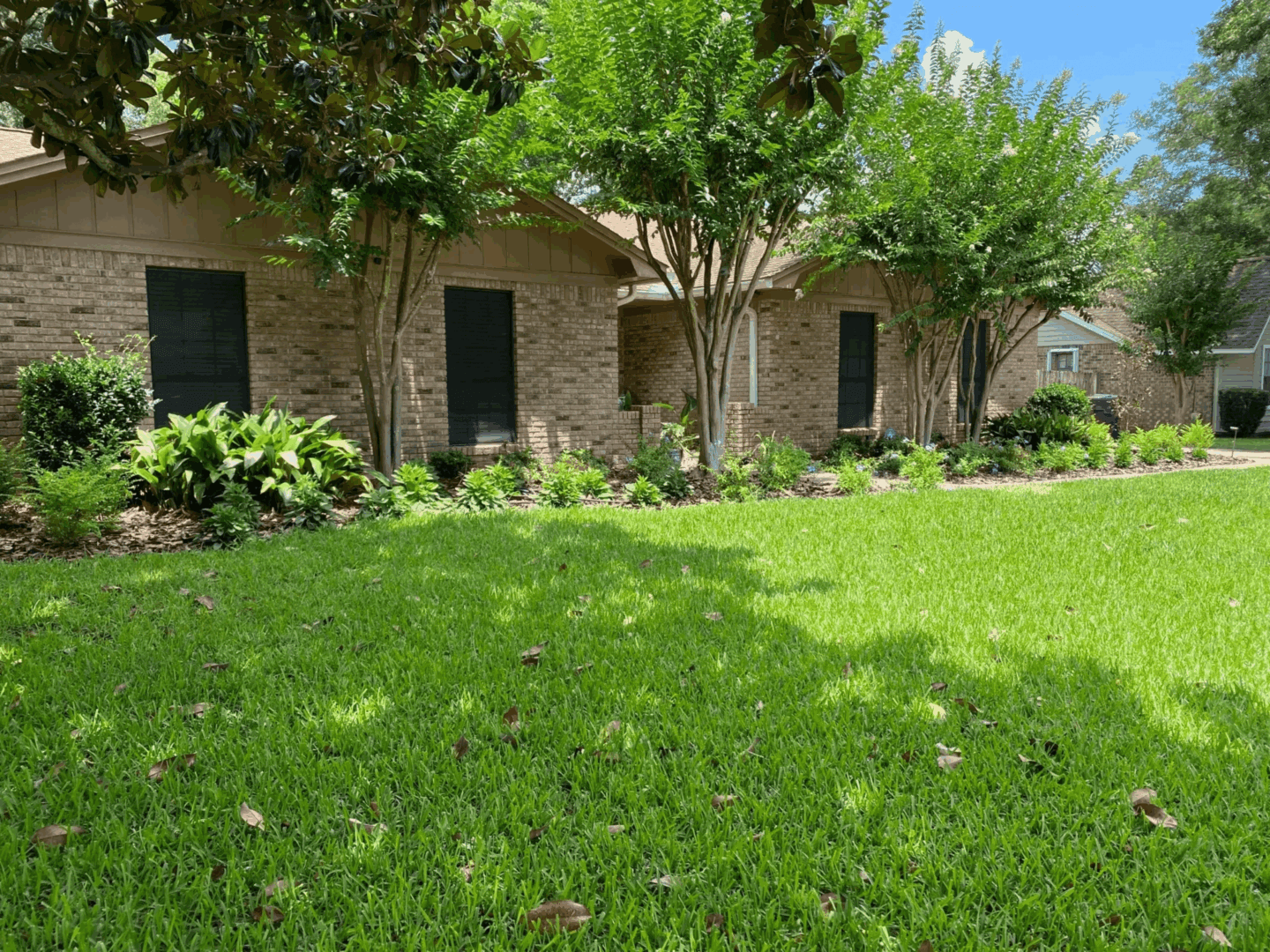 Safe Lawn